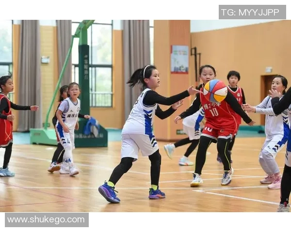 湘江新区“三大球”联赛篮球决赛闭幕 逾2300名学子赛场展风貌